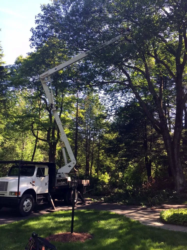 Trusted yard cleanup service in Easton, CT - Oakwood Landscaping & Construction, LLC