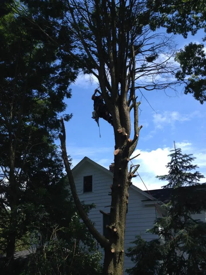 Reliable landscape design experts serving Easton, CT - Oakwood Landscaping & Construction, LLC