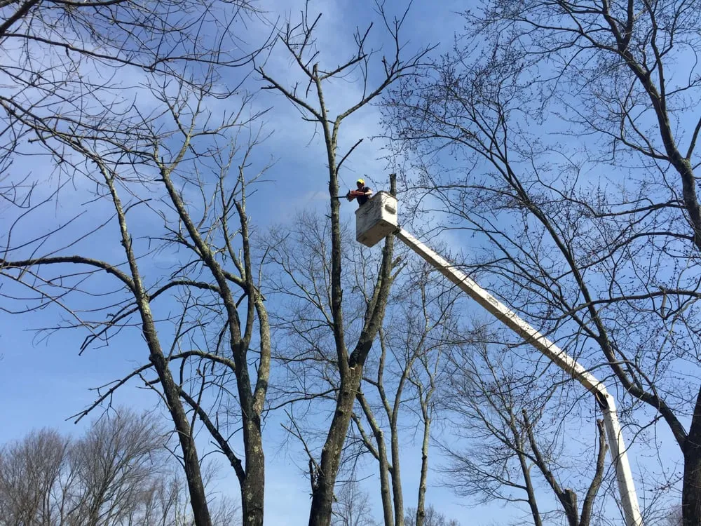 Expert landscape installation in Easton, CT - Oakwood Landscaping & Construction, LLC