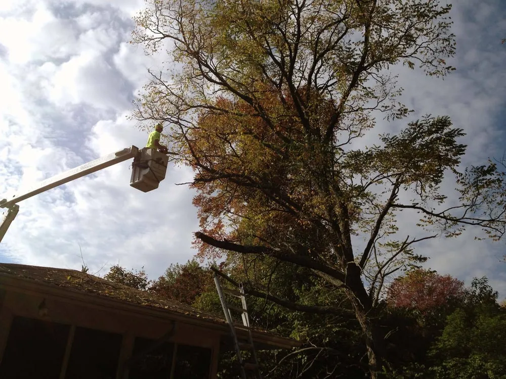 Professional landscape design experts serving Easton, CT - Oakwood Landscaping & Construction, LLC