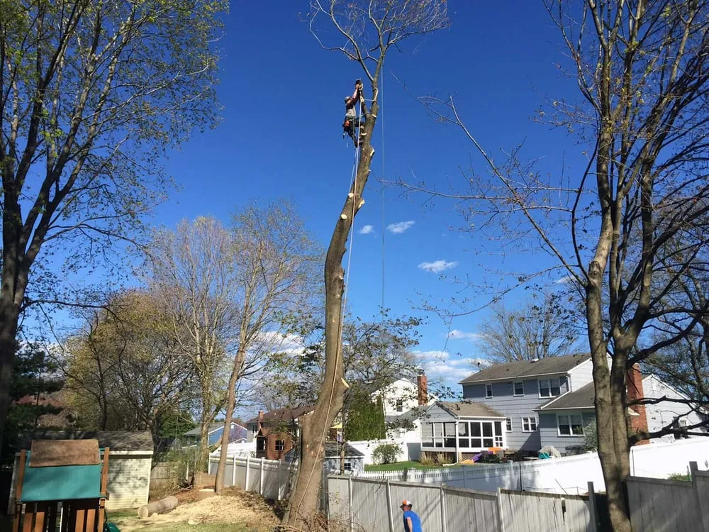 Custom yard cleanup service for homes across Easton, CT - Oakwood Landscaping & Construction, LLC