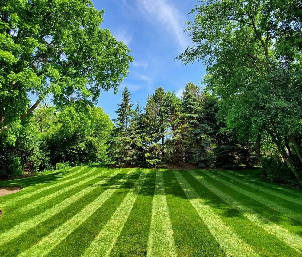Reliable lawn care service for residential properties across Perry Hall, MD - Oakwood Landscaping