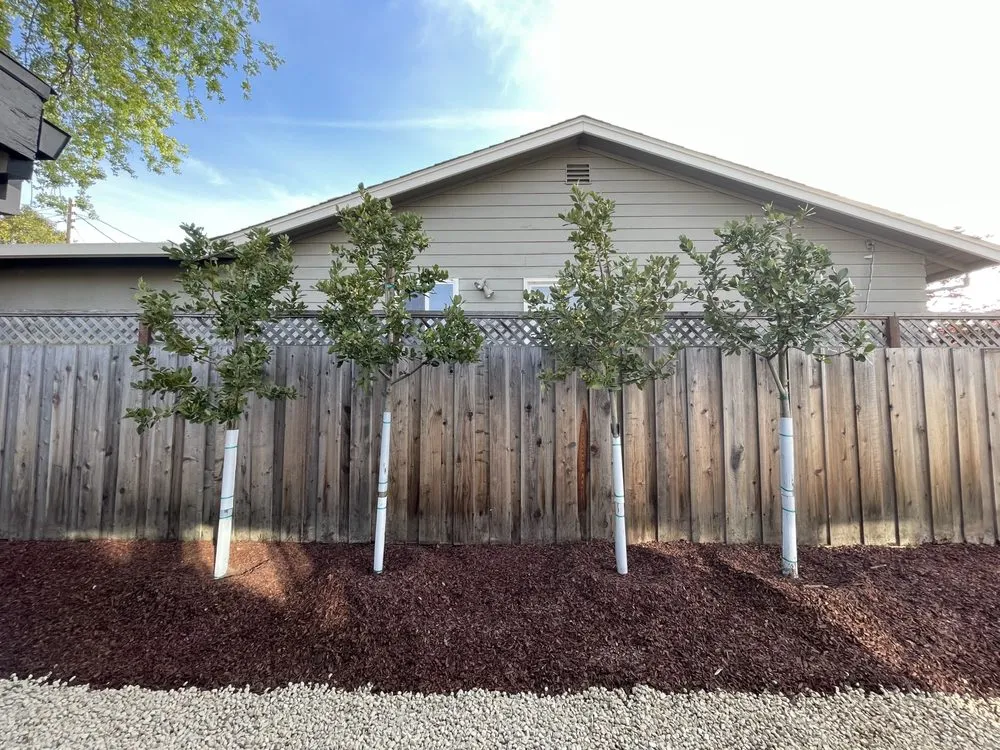 Top-rated landscaping services in Redwood City, CA - Oakwood Landscaping