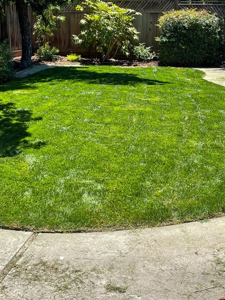 Affordable garden landscaping experts serving Redwood City, CA - Oakwood Landscaping