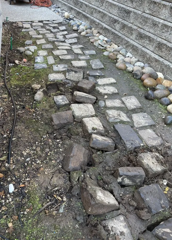 Top-rated yard maintenance in Redwood City, CA - Oakwood Landscaping