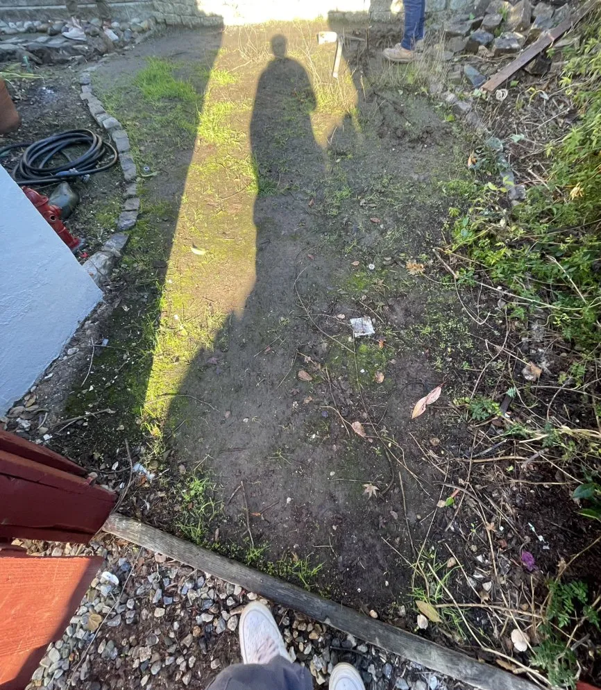 Expert lawn care service for homes in Redwood City, CA by Oakwood Landscaping