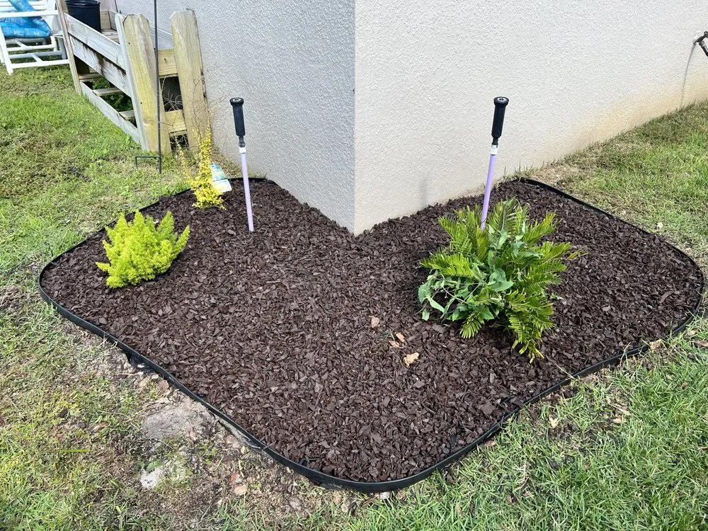 Top-rated lawn care service in Eustis, FL - Oasis Bamboo Nursery & Landscaping