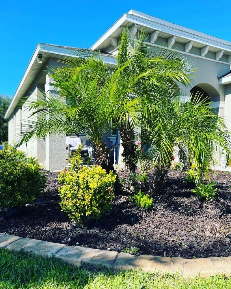 Custom yard maintenance for beautiful yards across Eustis, FL - Oasis Bamboo Nursery & Landscaping