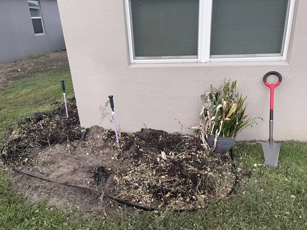 Expert lawn mowing service in Eustis, FL - Oasis Bamboo Nursery & Landscaping