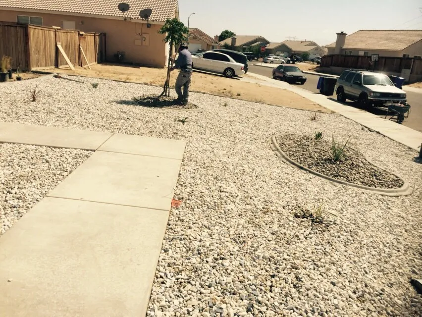 Expert lawn care service experts serving Victorville, CA - Oasis Custom Curbing And Landscaping