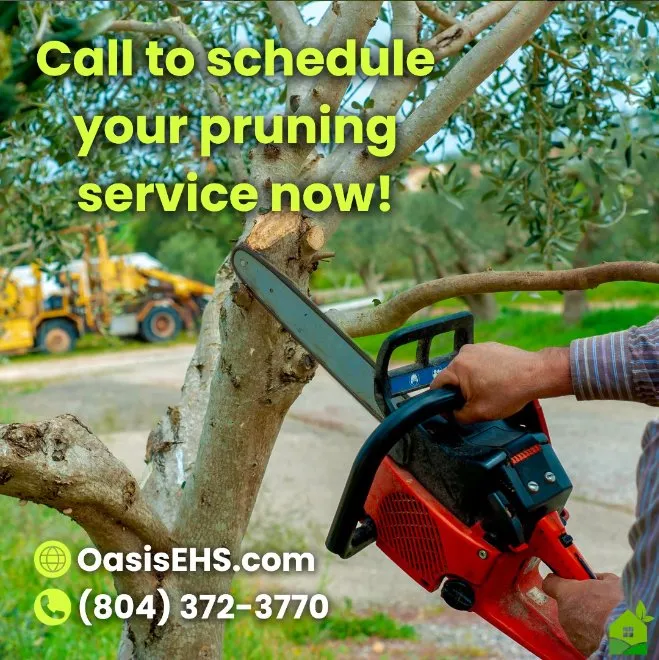 Expert lawn mowing service near you across Powhatan, VA - Oasis Exterior Home Services