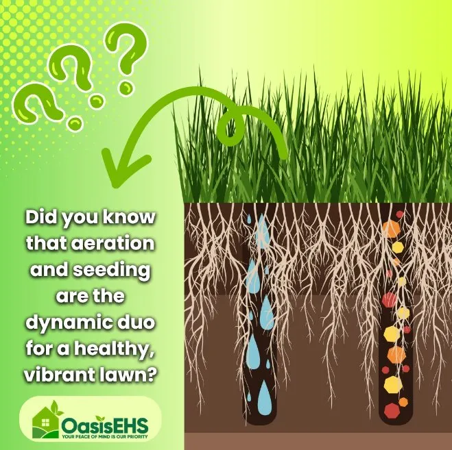 Affordable garden landscaping near you in Powhatan, VA by Oasis Exterior Home Services