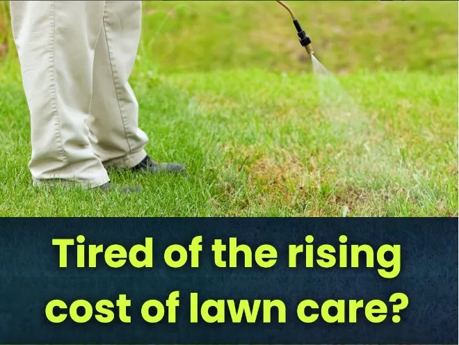 Expert residential landscaping with custom design across Powhatan, VA - Oasis Exterior Home Services