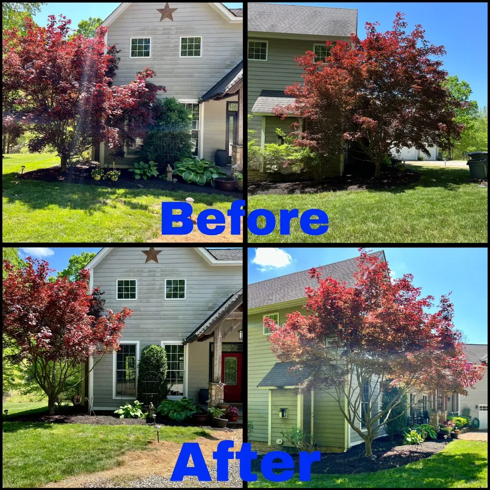 Professional lawn care service experts serving Powhatan, VA - Oasis Exterior Home Services