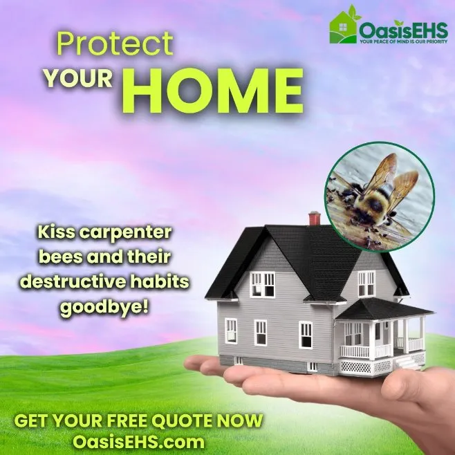 Local landscaping services for residential properties across Powhatan, VA - Oasis Exterior Home Services