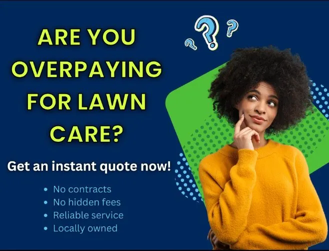 Reliable yard cleanup service for year-round maintenance in Powhatan, VA by Oasis Exterior Home Services