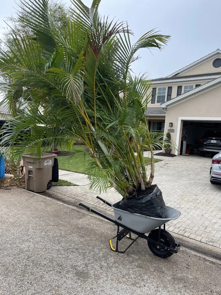 Affordable landscape design for beautiful yards in Cape Coral, FL by Oasis Exterior Services