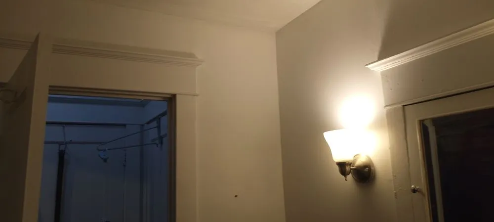 Trusted yard cleanup service experts serving Buffalo, NY - Oasis Handyman services