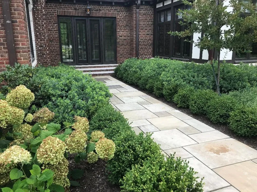 Expert lawn care service in Lakewood, OH - Oasis Home Improvement