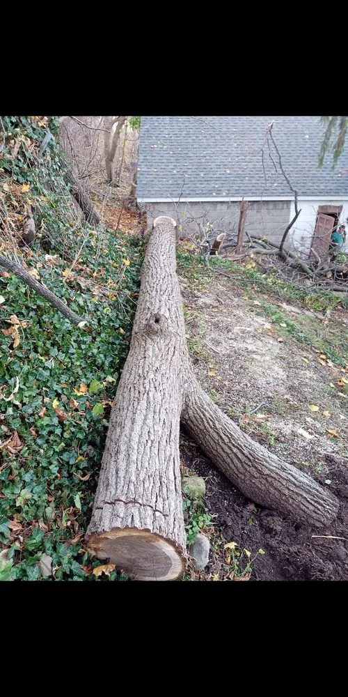 Local landscape design experts serving Syracuse, NY - Oasis Homescapes