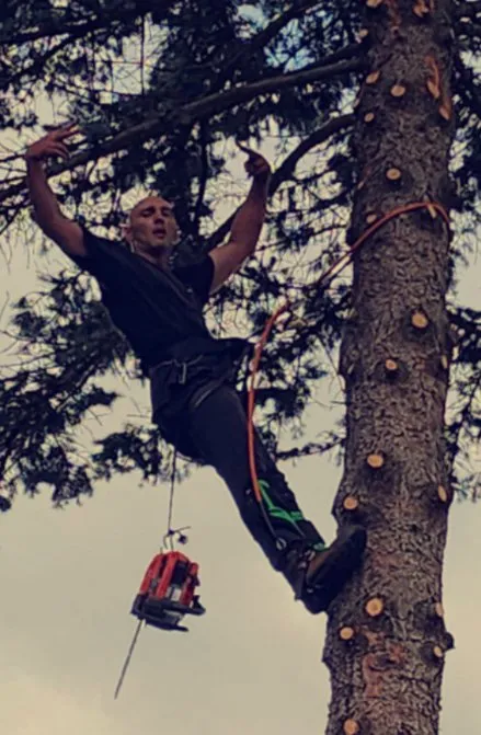 Reliable lawn care service in Syracuse, NY - Oasis Homescapes