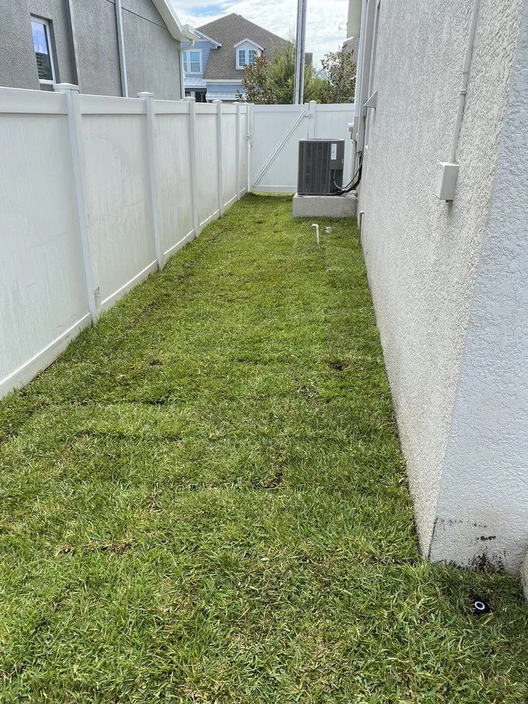 Affordable yard maintenance in Tampa, FL - Oasis Irrigation & Landscape