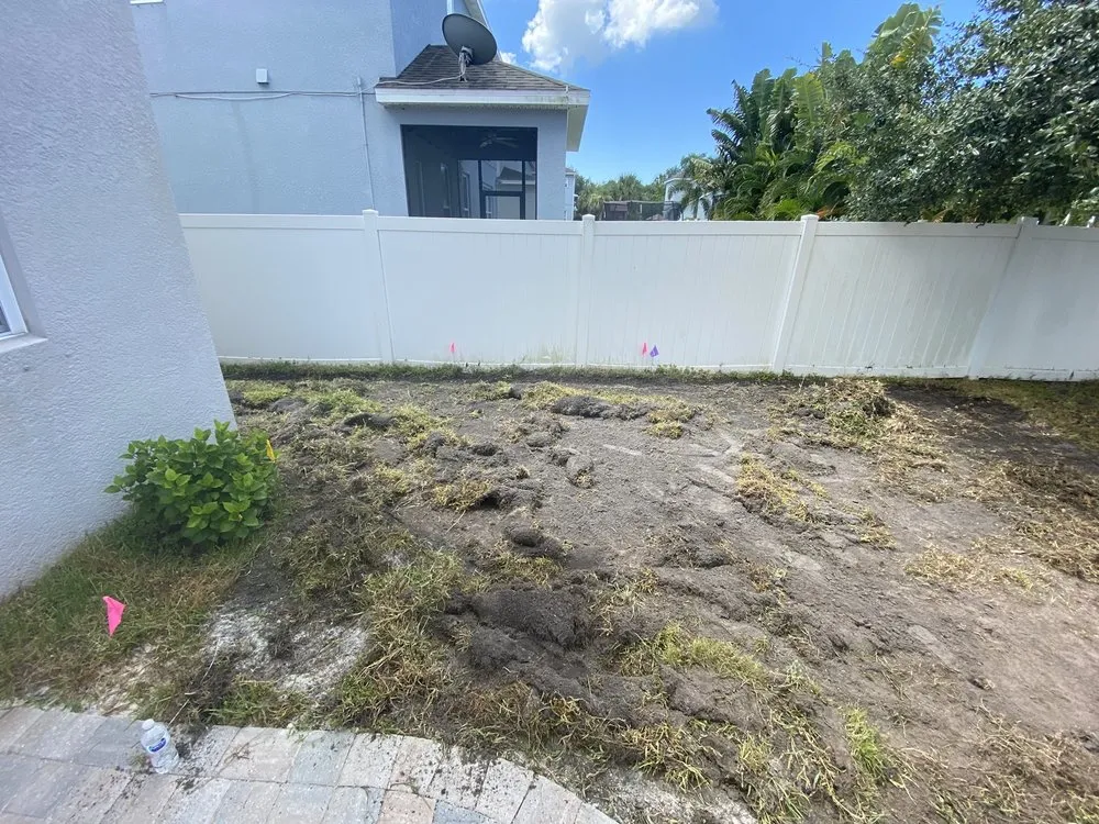 Local landscape installation experts serving Tampa, FL - Oasis Irrigation & Landscape