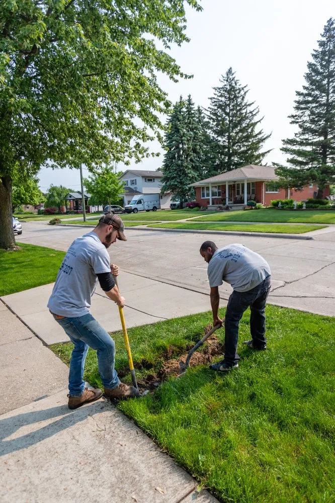 Expert landscape design for outdoor upgrades across Taylor, MI - Oasis Irrigation Lawn