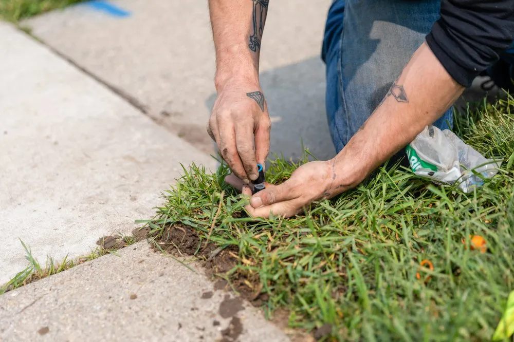 Trusted yard cleanup service experts serving Taylor, MI - Oasis Irrigation Lawn