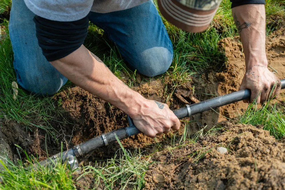 Trusted landscape design experts serving Taylor, MI - Oasis Irrigation Lawn