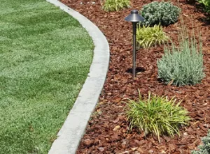 Top-rated yard maintenance for outdoor upgrades across Los Angeles, CA - Oasis Landscape Care