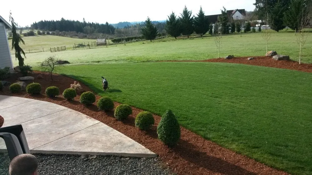 Affordable yard maintenance experts serving Salem, OR - Oasis Landscape