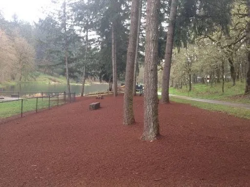 Local landscaping services in Salem, OR by Oasis Landscape