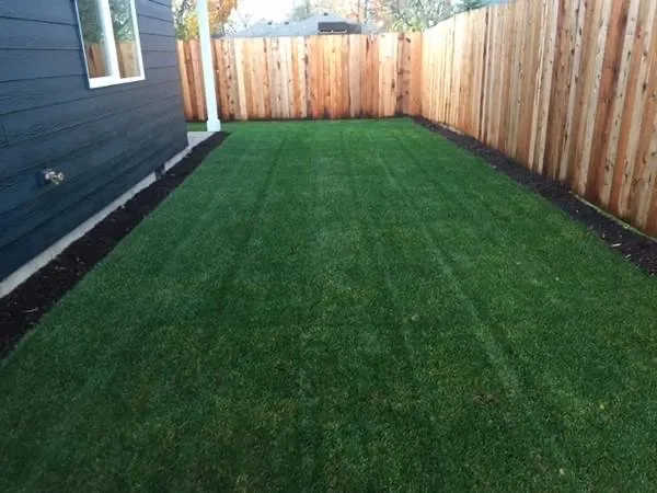 Professional lawn care service in Salem, OR - Oasis Landscape