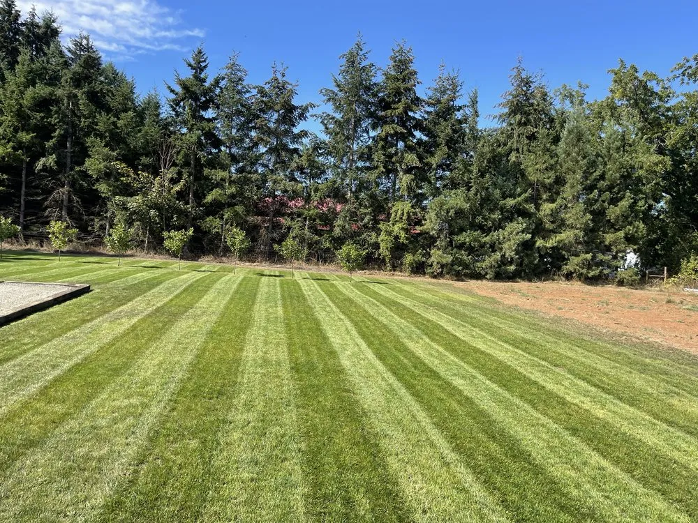 Professional landscape design in Salem, OR - Oasis Landscape