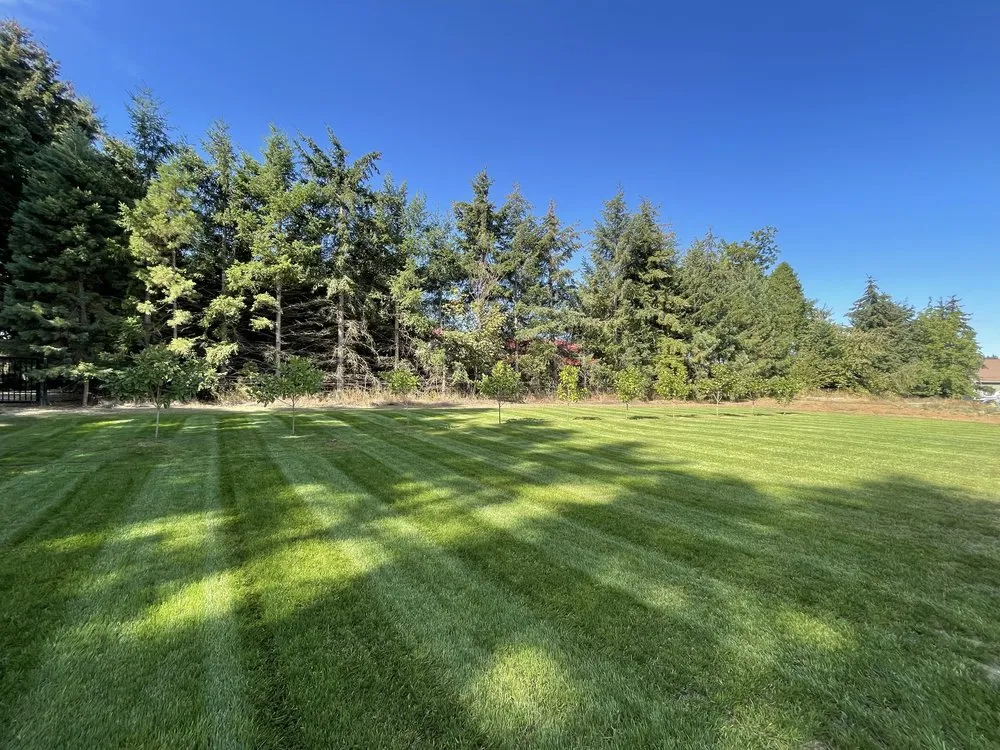 Professional landscaping services for beautiful yards in Salem, OR by Oasis Landscape