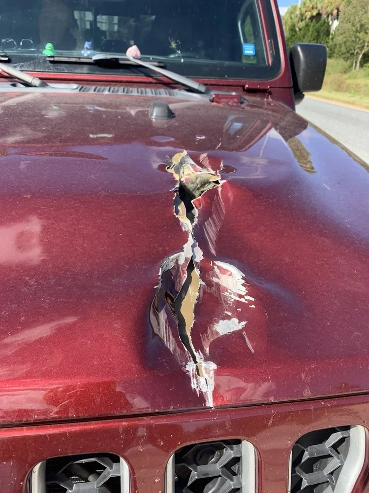 Custom garden landscaping for year-round maintenance in Gainesville, FL by Oasis Landscape Services