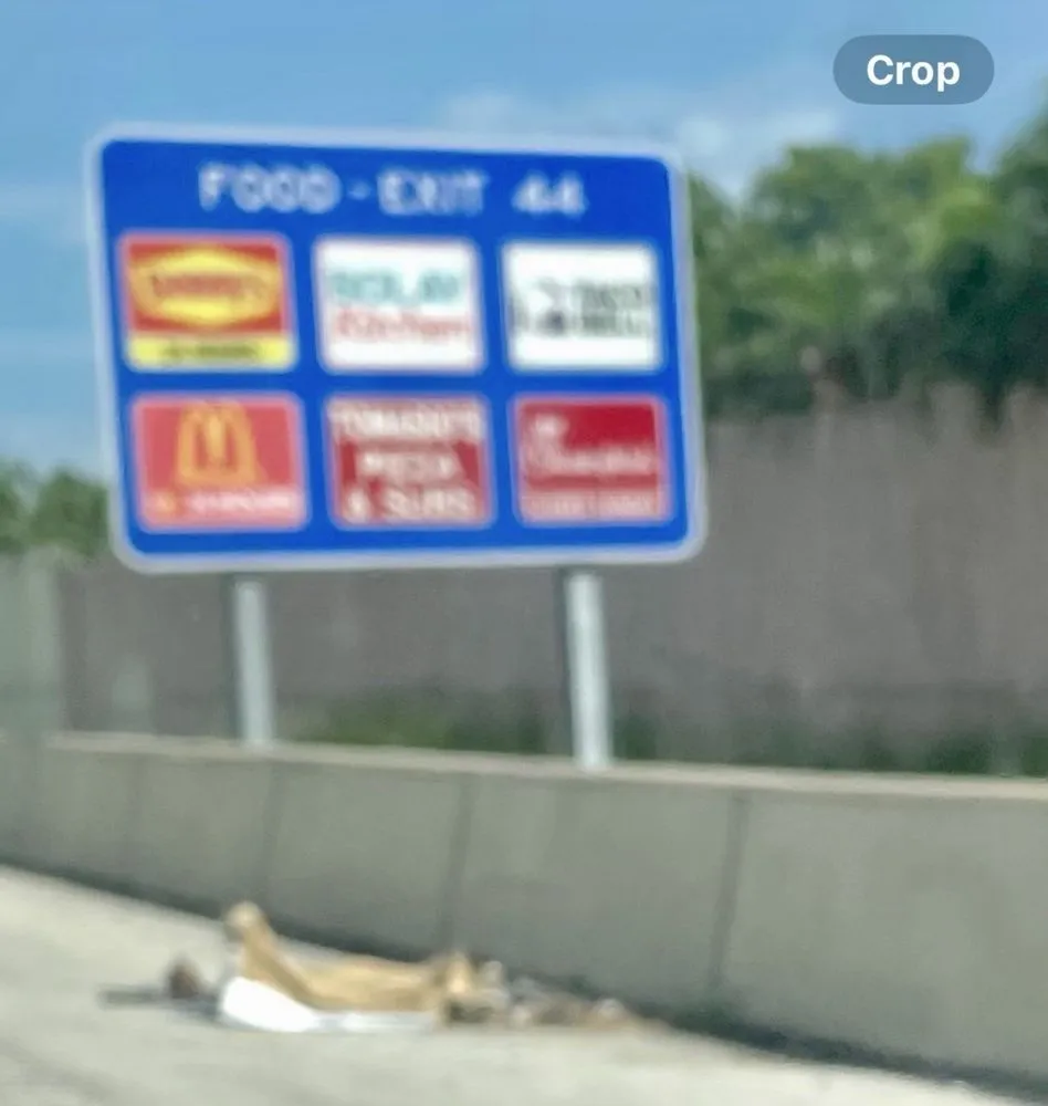 Expert yard maintenance near you across Gainesville, FL - Oasis Landscape Services