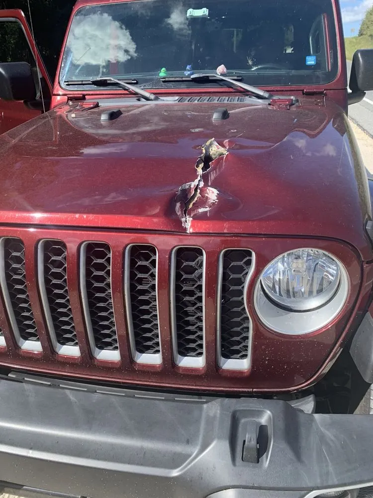 Reliable yard maintenance in Gainesville, FL - Oasis Landscape Services