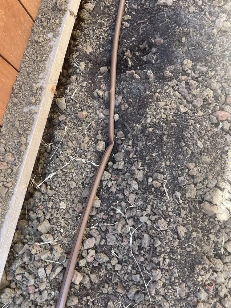 Trusted yard cleanup service in vallejo, CA by Oasis Landscape Solutions