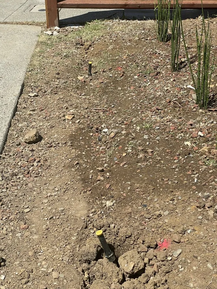 Local residential landscaping in vallejo, CA by Oasis Landscape Solutions