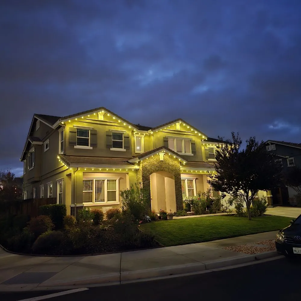 Top-rated yard maintenance near you in vallejo, CA by Oasis Landscape Solutions