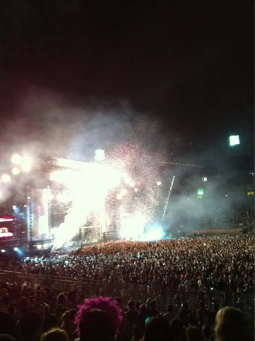 Expert lawn mowing service in vallejo, CA - Oasis Landscape Solutions