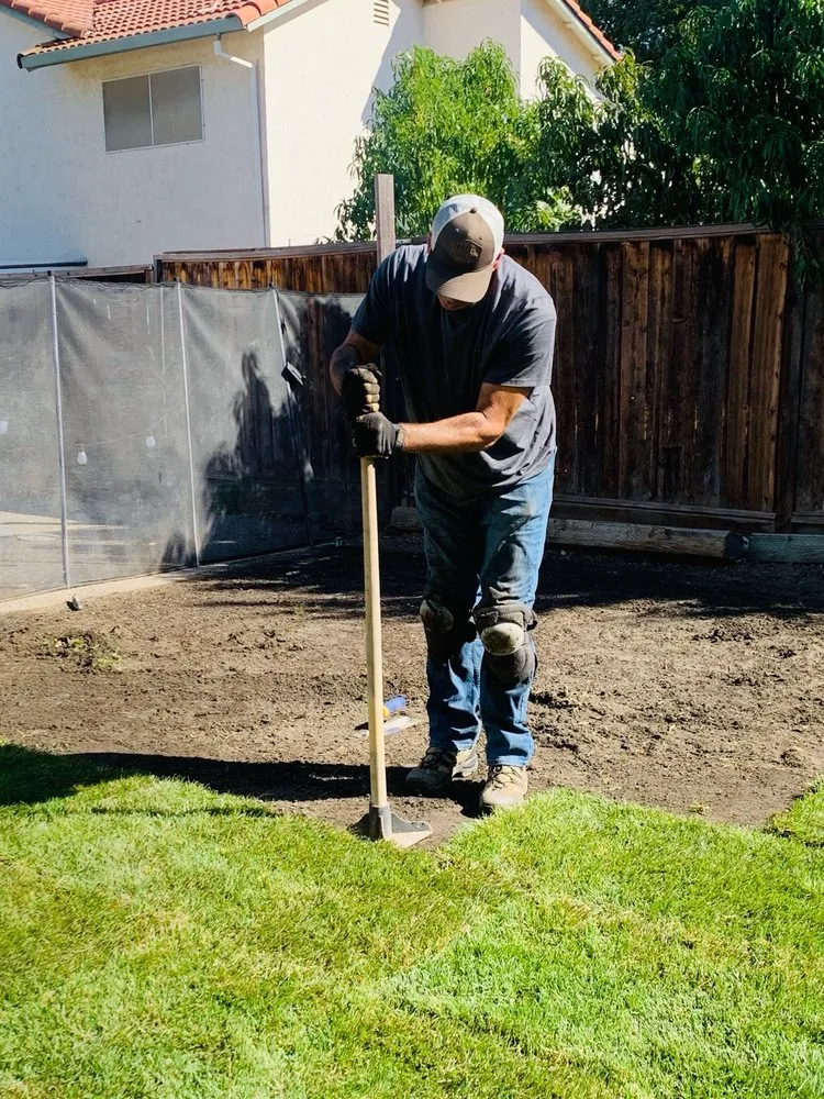 Top-rated yard maintenance in Tracy, CA by Oasis Landscape