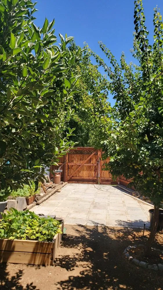 Professional lawn care service in Tracy, CA by Oasis Landscape