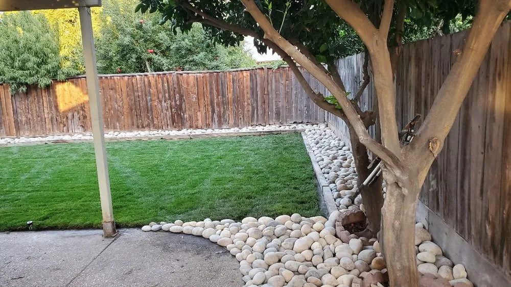 Professional yard cleanup service for homes across Tracy, CA - Oasis Landscape