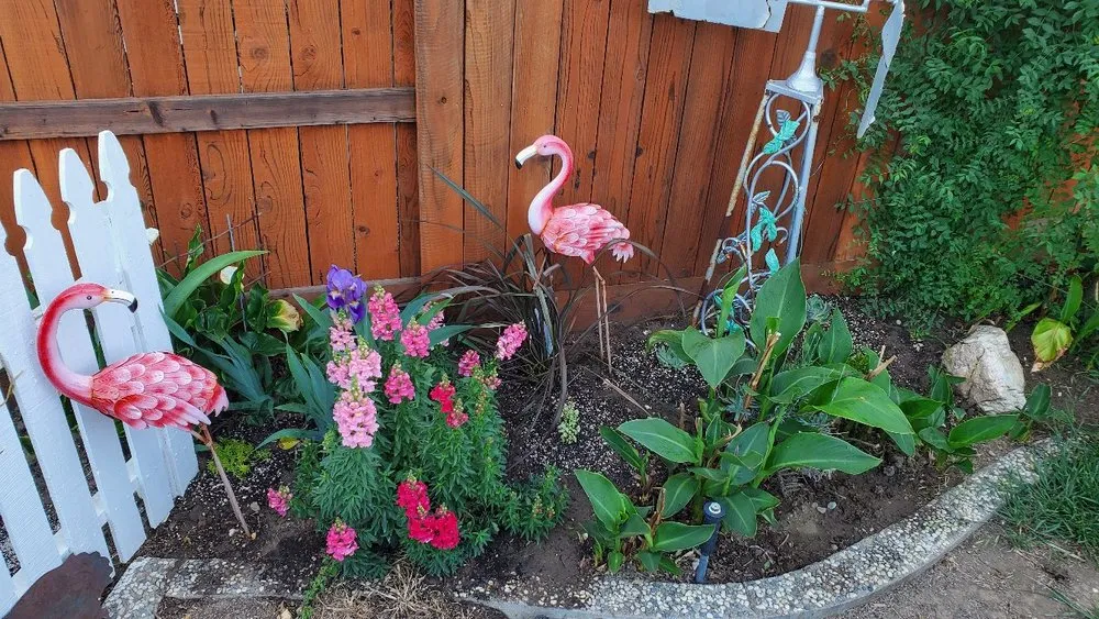 Professional lawn care service in Tracy, CA by Oasis Landscape