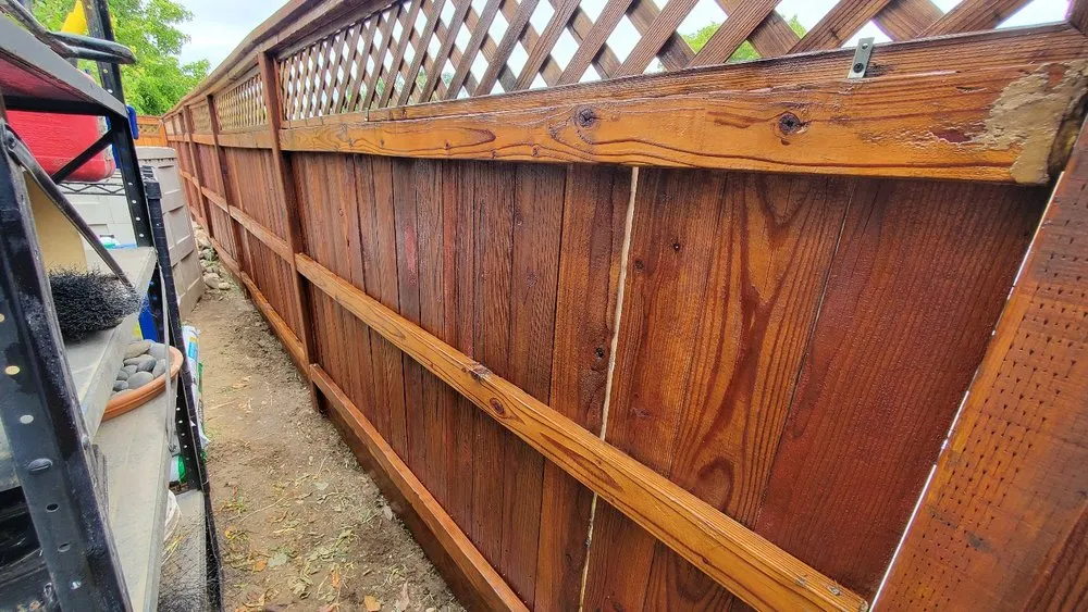 Professional yard cleanup service in Tracy, CA by Oasis Landscape