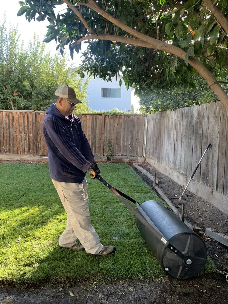 Top-rated landscape installation experts serving Tracy, CA - Oasis Landscape