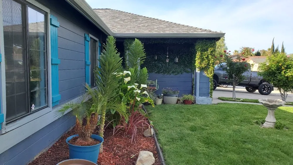Local yard cleanup service for year-round maintenance across Tracy, CA - Oasis Landscape